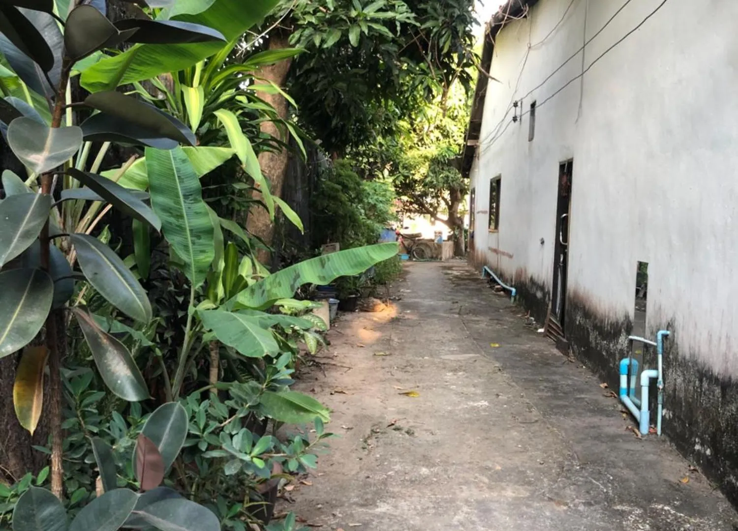 Secret Lanta Guesthouse Koh Lanta Thailand